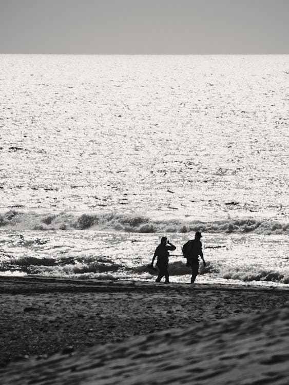 Základová fotografie zdarma na téma černobílý, moře, odraz
