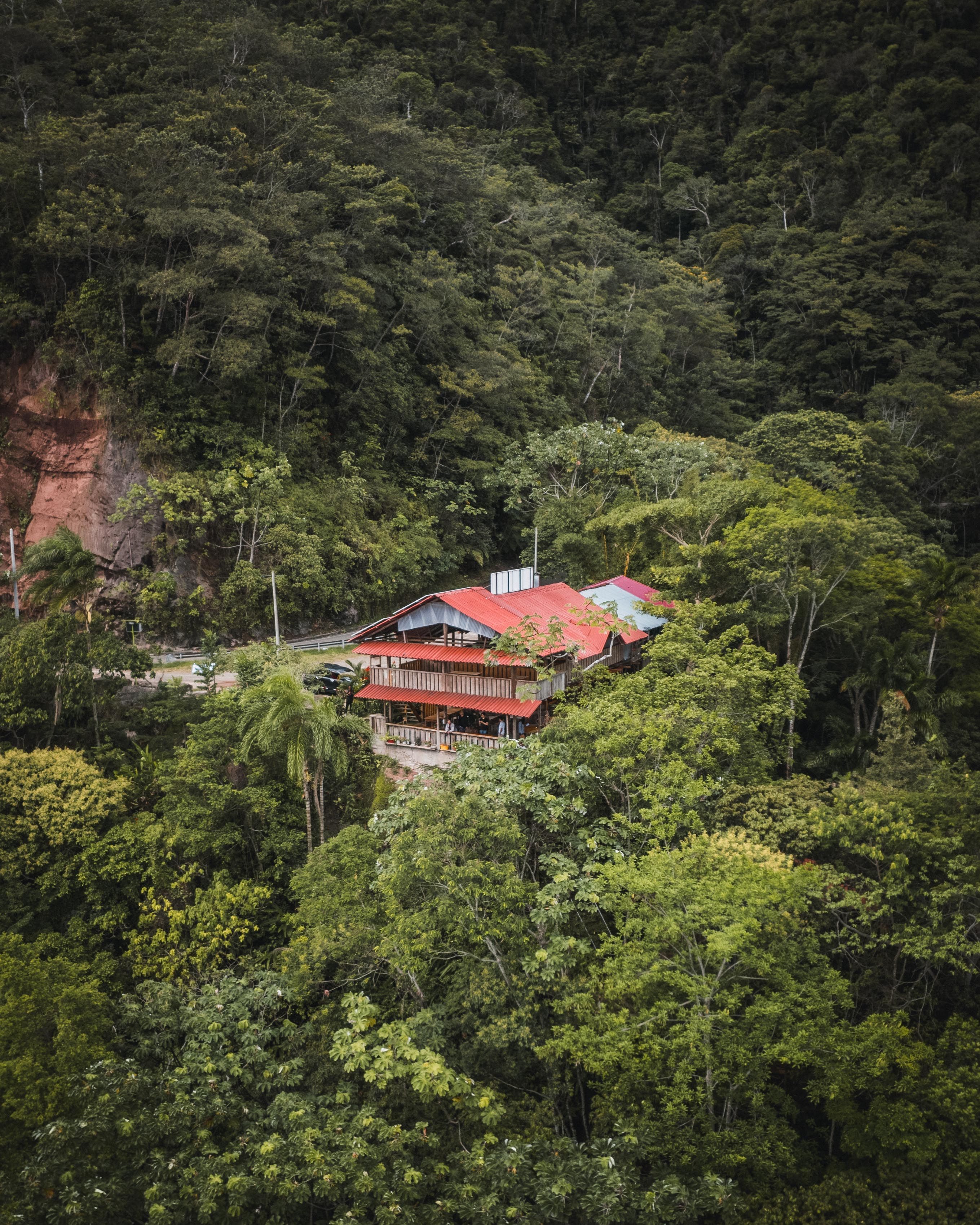 Wooden house surrounded by lush jungle near Tarapoto