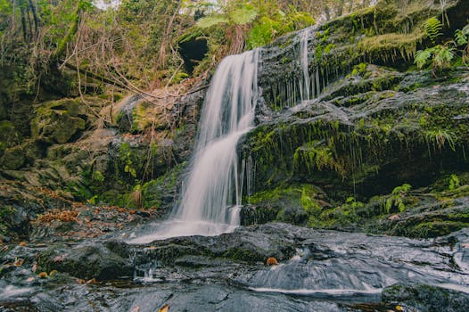 Peaceful waterfall flowing over lush, mossy rocks in nature, captured with a Nikon D3200.