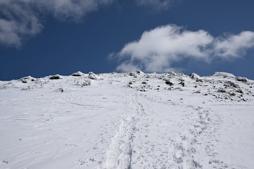 Darmowe zdjęcie z galerii z apecloud, hokkaido, shinny-weather