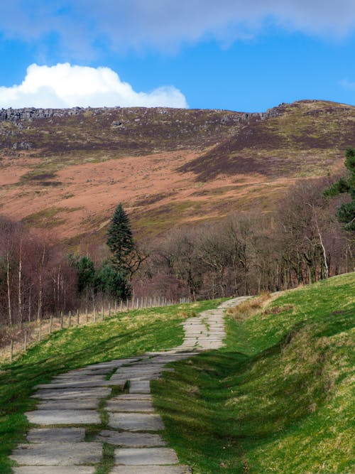 Path in a Mountain Valley 