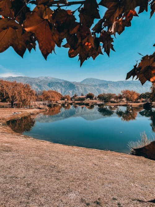 公園, 冬季, 北 的 免費圖庫相片