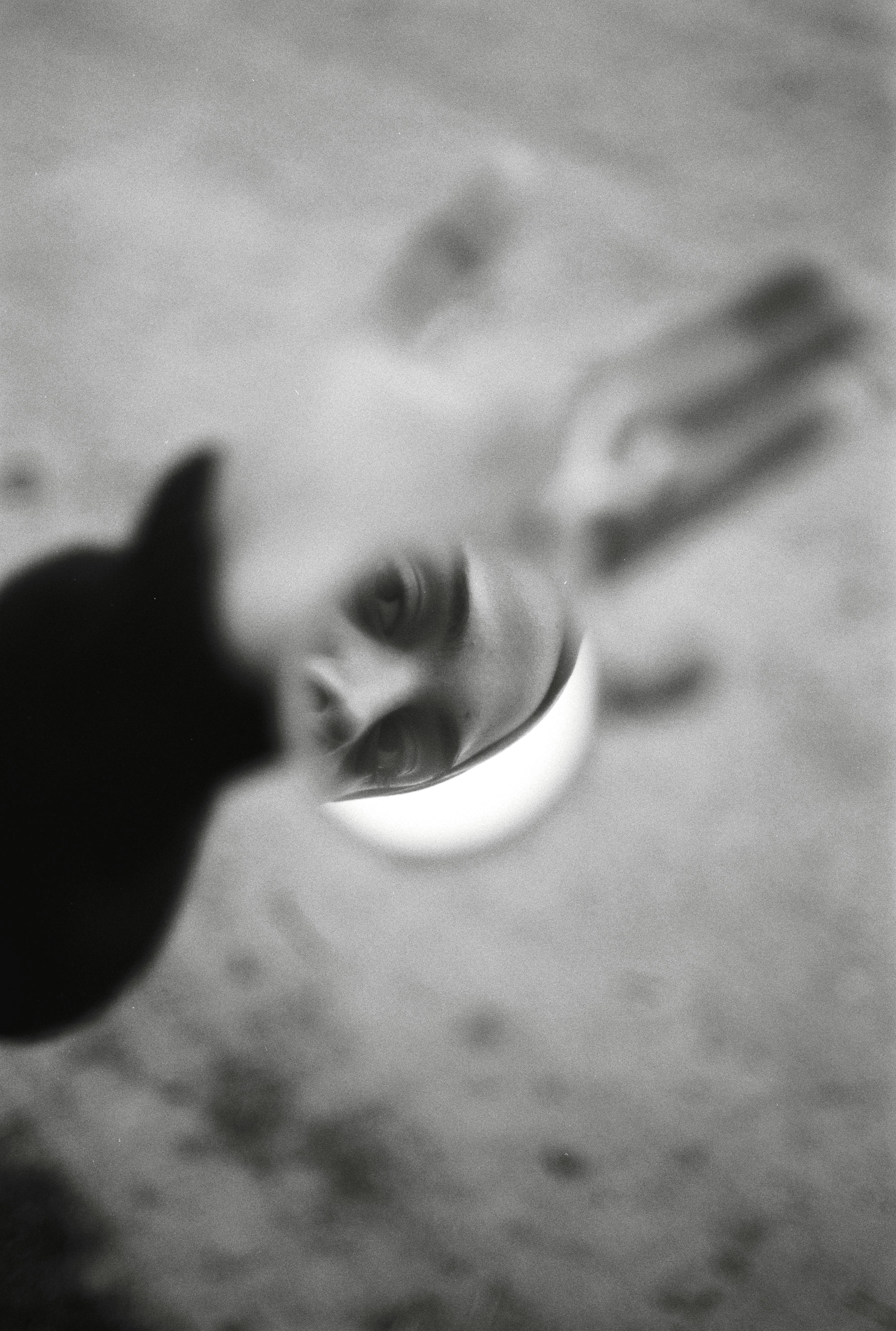 A blurred black and white image capturing a reflection in a mirror with a hand in focus.