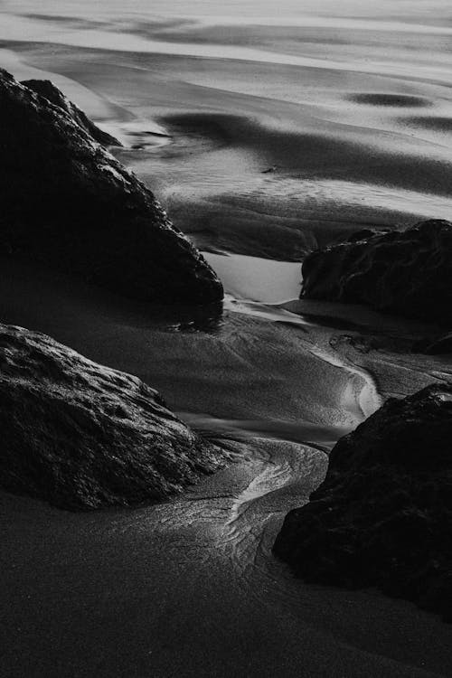 Playa en blanco y negro