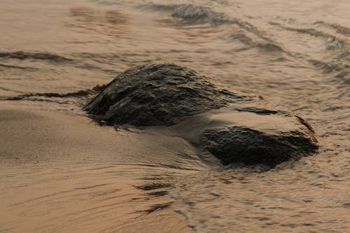 Δωρεάν στοκ φωτογραφιών με rock, βρεγμένη άμμος, γκρο πλαν