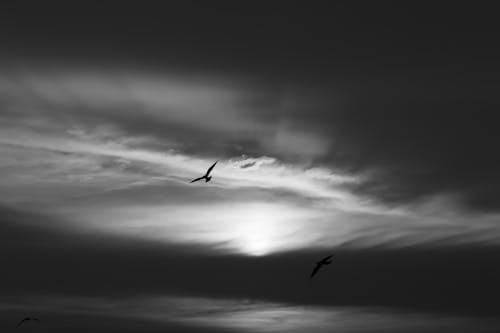 balck and white sunset 