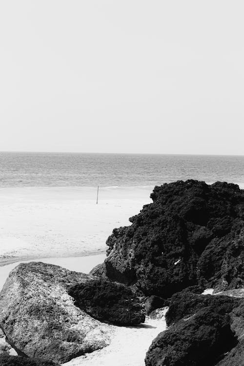 Foto d'estoc gratuïta de blanc i negre, costa oceànica, escala de grisos