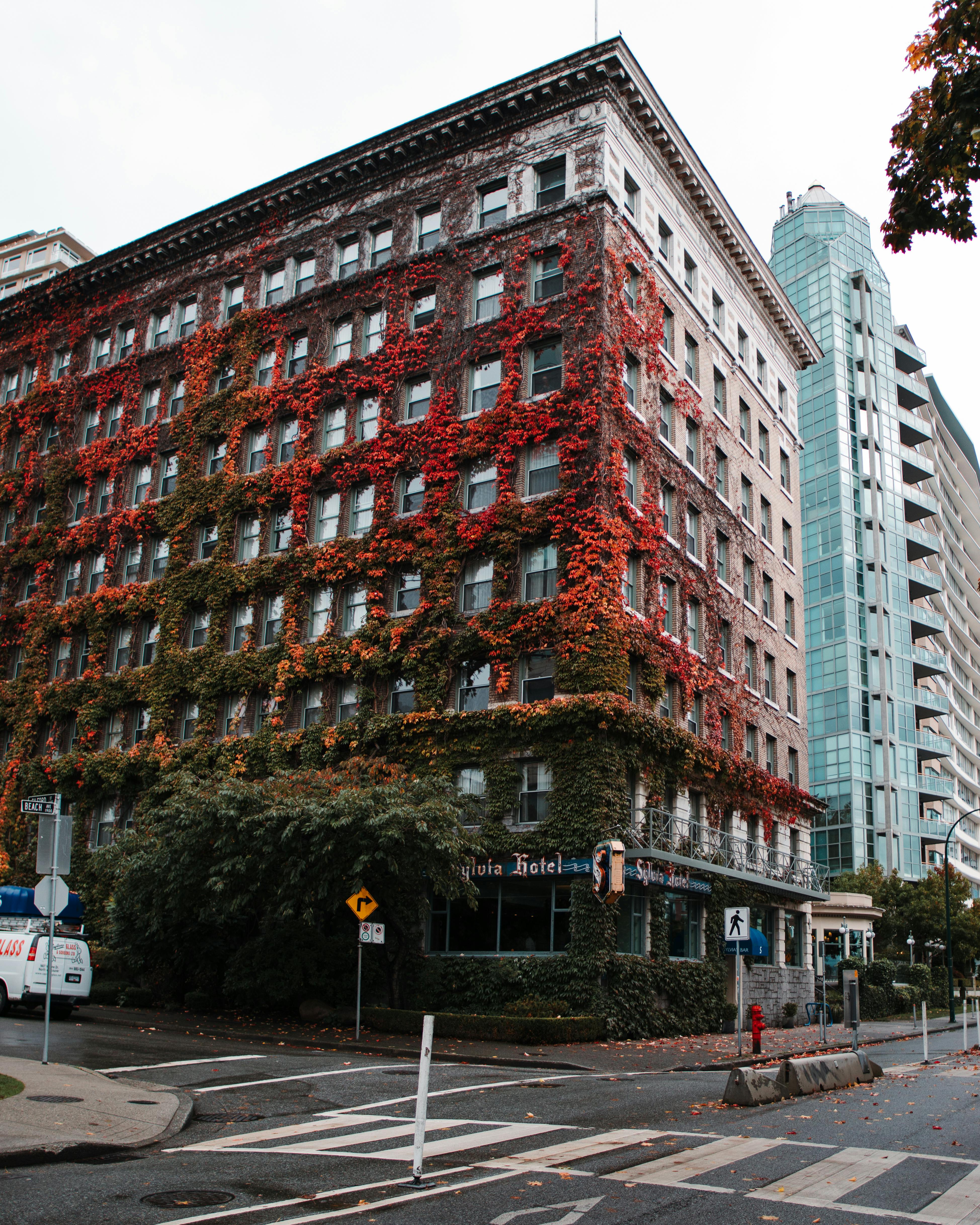 The Capetonian - Photo 1