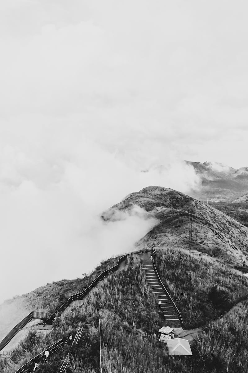 5 Steps To Become A Better You