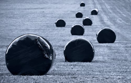 Foto d'estoc gratuïta de a pagès, agrícola, agricultura