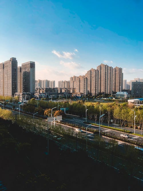 A city skyline with tall buildings and trees