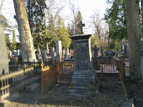 Free stock photo of cemetery, death, life Stock Photo
