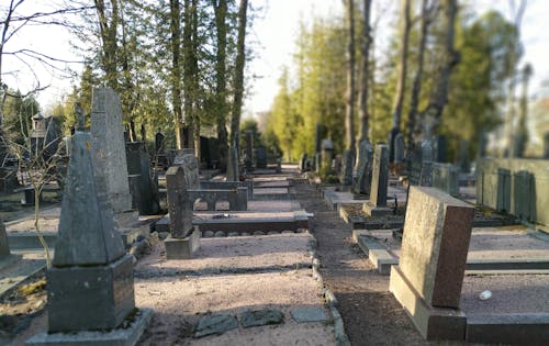 Free stock photo of cemetery, death, life