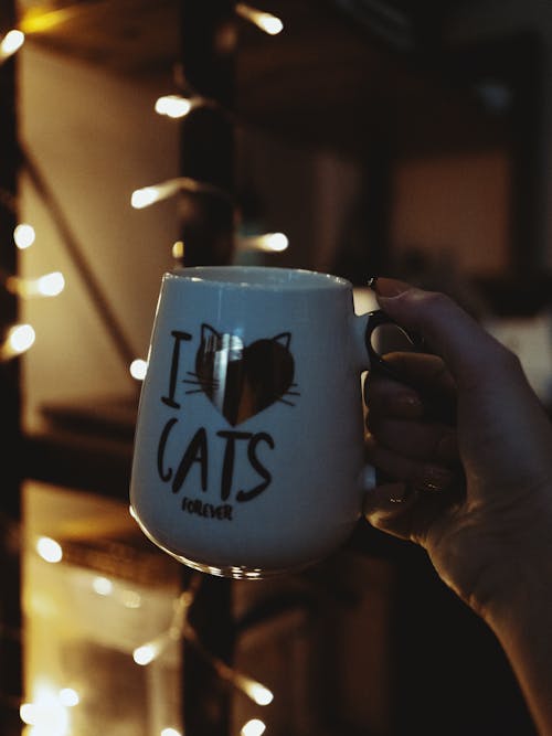 A person holding a coffee mug with the words i love cats