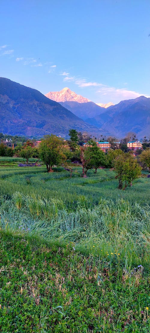 Kostnadsfri bild av berg, dhauladhar, himachal pradesh