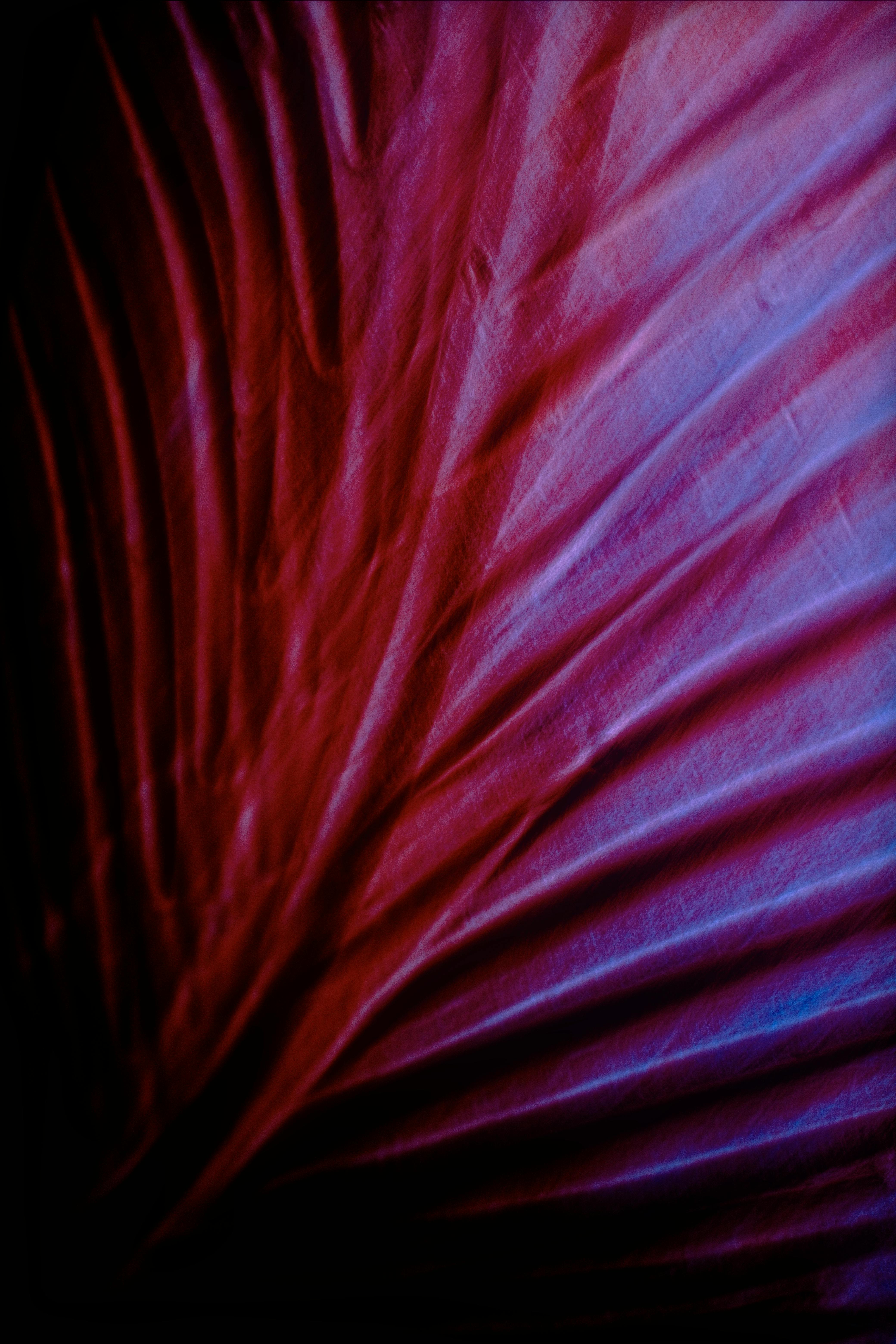 Artistic abstract image featuring fan-shaped leaf with rich colors and textures.
