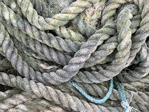 Free stock photo of cornwall, coverack, harbour