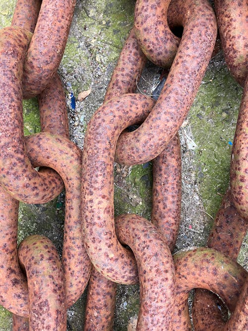 Free stock photo of background, chain, harbour