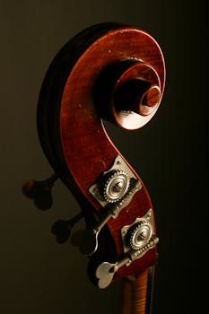 Artistic close-up of a double bass scroll with intricate metal tuning pegs against a dark background.