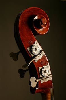 Close-up of a cello scroll showcasing intricate details in dramatic lighting.