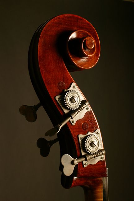 Close-up of a cello scroll showcasing intricate details in dramatic lighting.