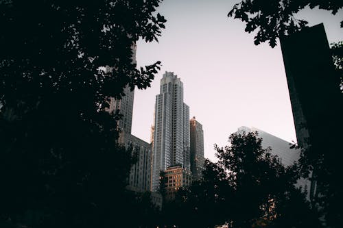 Základová fotografie zdarma na téma architektura, budovy, centrum města