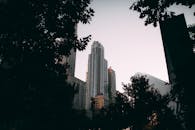 黄昏时分，城市的摩天大楼以树木的轮廓为框架，展现出现代建筑的风貌