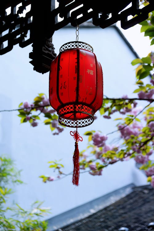 Kostenloses Stock Foto zu chinesisch, dekoration, hängen