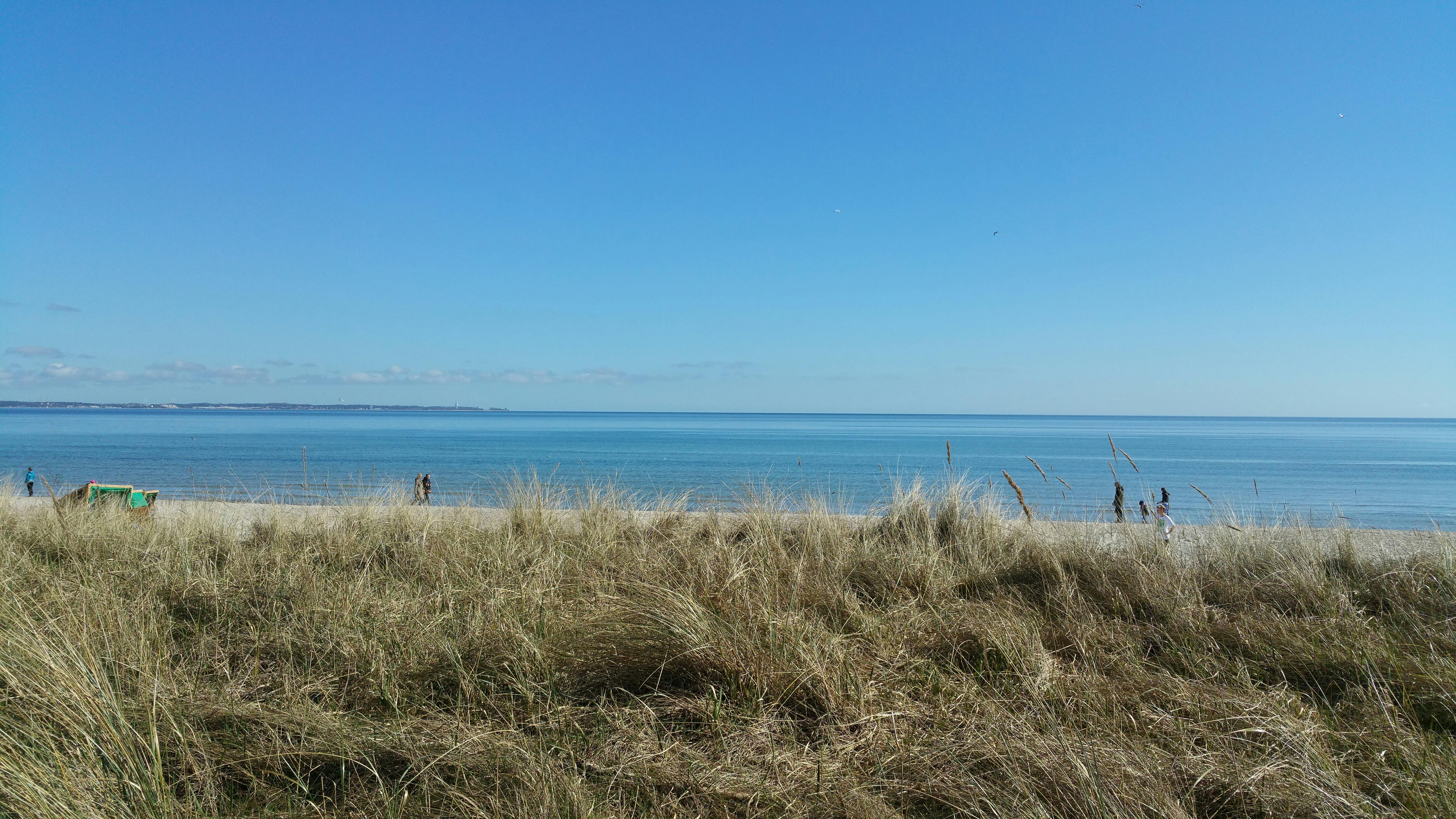 Kostenloses Foto Zum Thema Ostsee Strand Urlaub