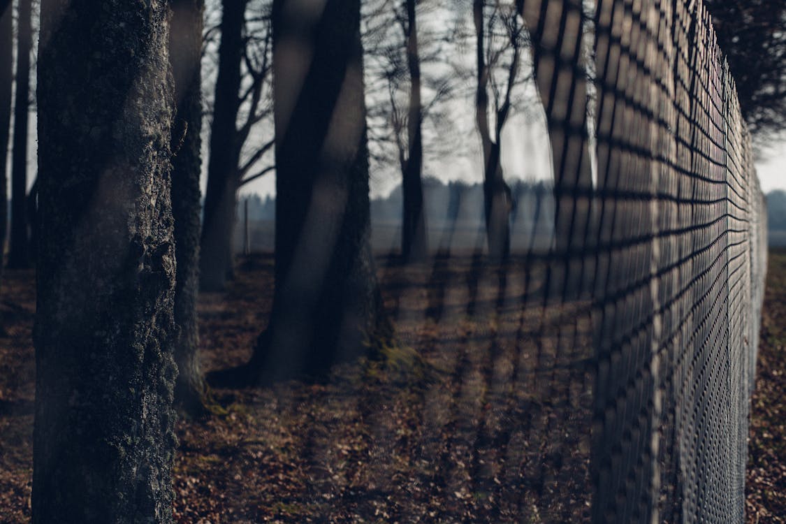 Free Chain Link Fence With Trees in Background during Twilight Stock Photo