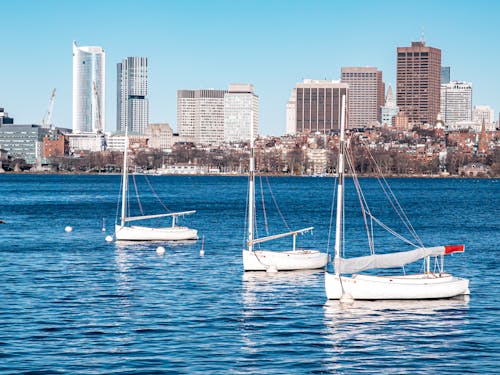 Three sailboats in the water near a city skyline