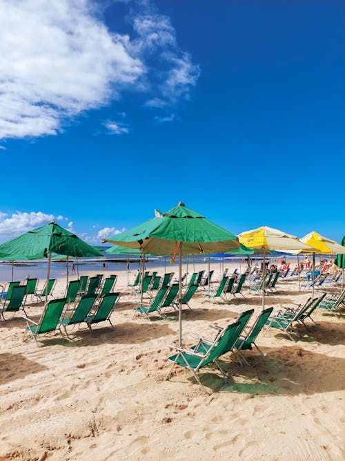 A beach with many chairs and umbrellas