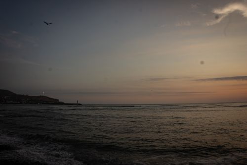 Free SONY DSC Stock Photo