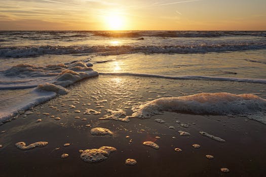 Golden sunrise casting warm hues on a peaceful beach with gentle waves and foam.