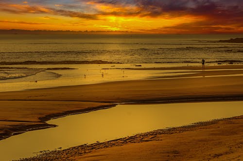 Foto profissional grátis de areia, brilhante, cênico