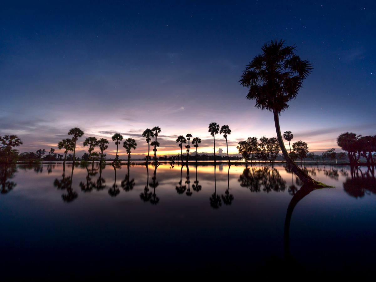6 Day Private Silent Meditation Retreat in Siem Reap, Cambodia 1