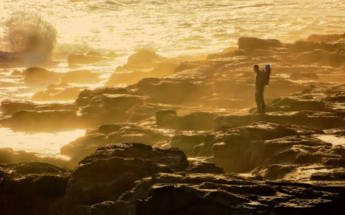 Free A person standing on the rocks by the ocean Stock Photo