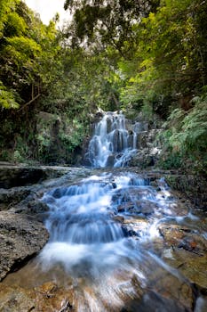 一片茂密的森林中，宁静的瀑布穿行而过，展现着大自然的美丽