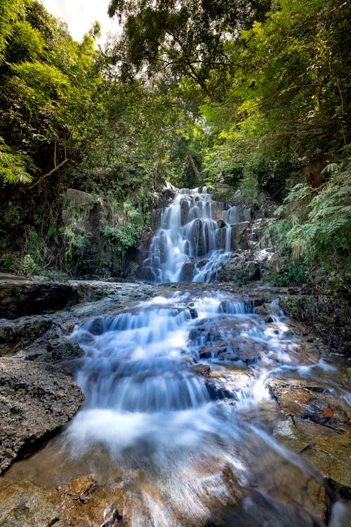Kaskadierende Wasserfälle Im Wald