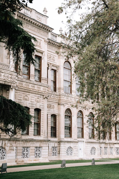 Foto profissional grátis de ancião, ao ar livre, aparência