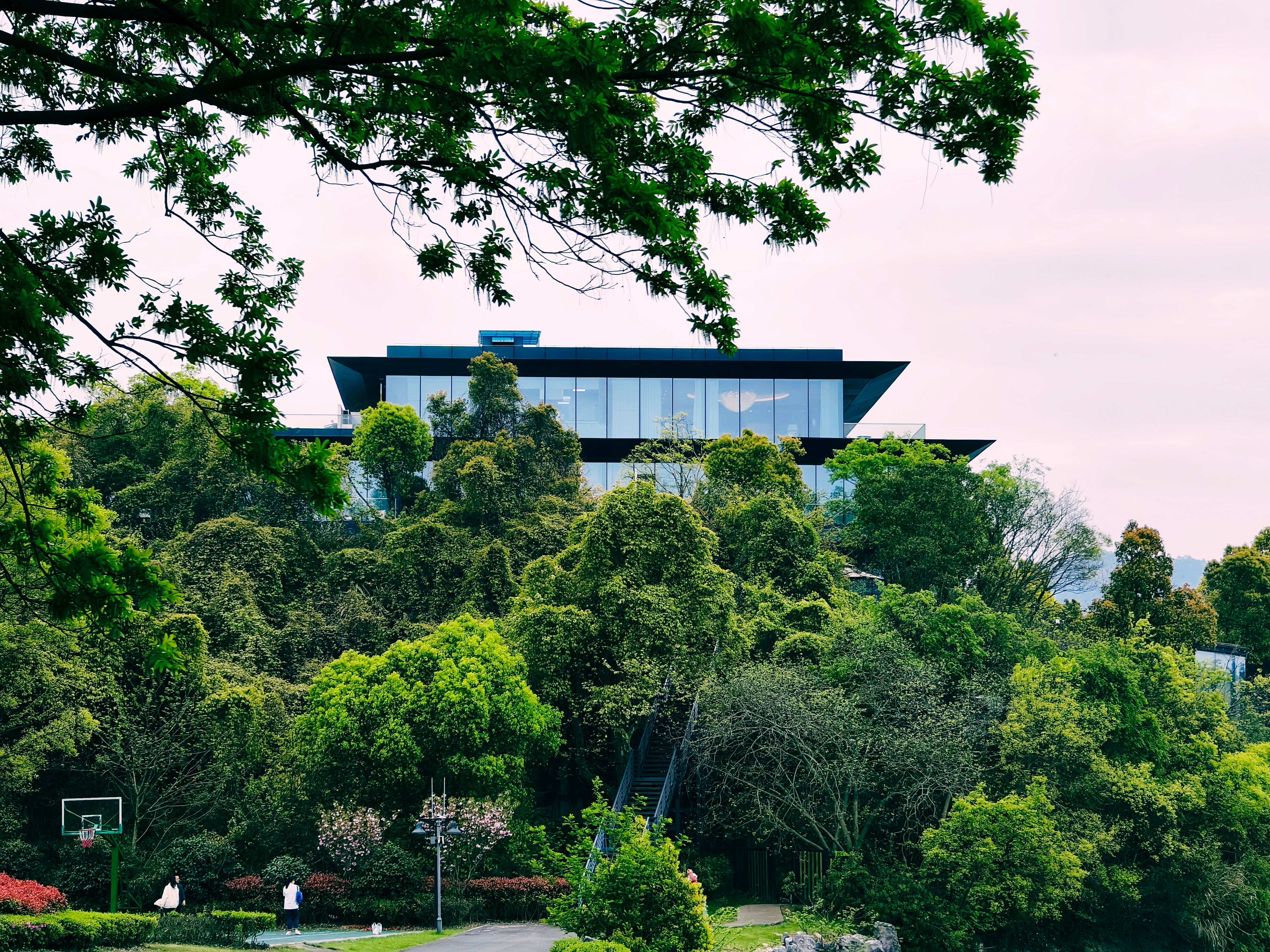 Hilltop Holdings director sells $388K in stock amid strong Q2 results