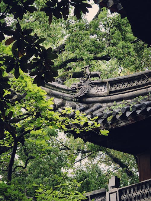 A chinese roof with a lot of trees around it