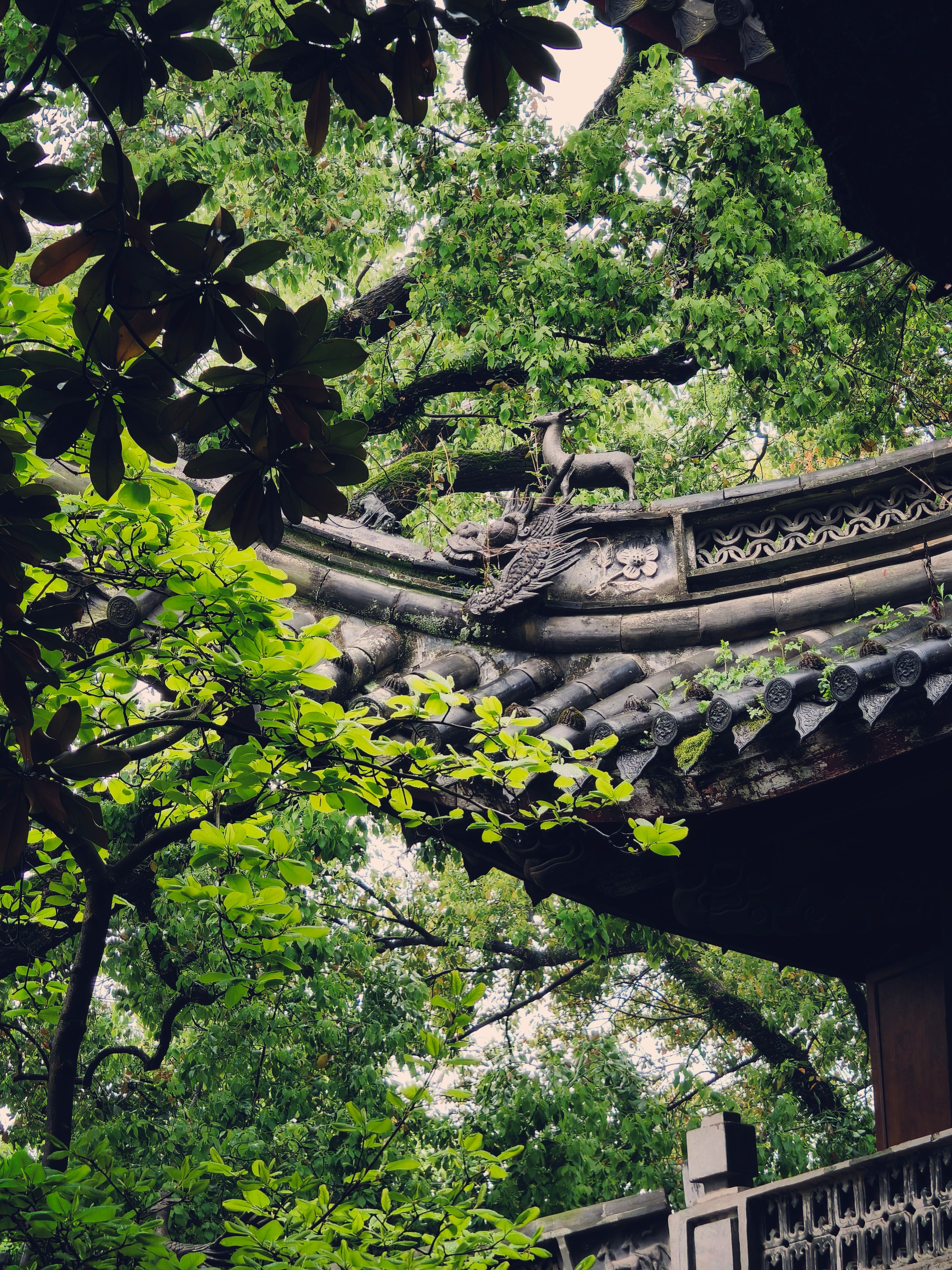 Traditional Rooftop of Temple · Free Stock Photo