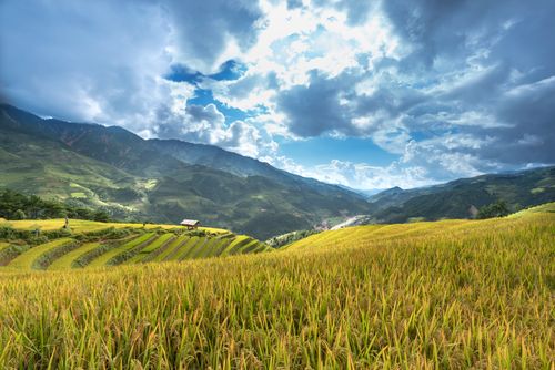 Free Beautiful terraced fields under a dramatic sky and mountain backdrop. Stock Photo