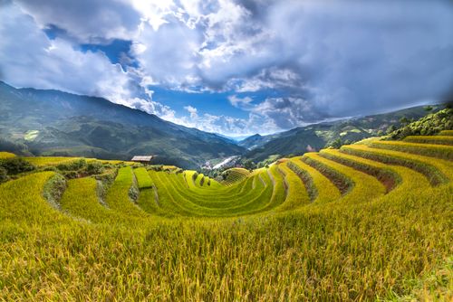 Free Stunning view of terraced rice fields in a lush, mountainous area under a dramatic sky. Stock Photo