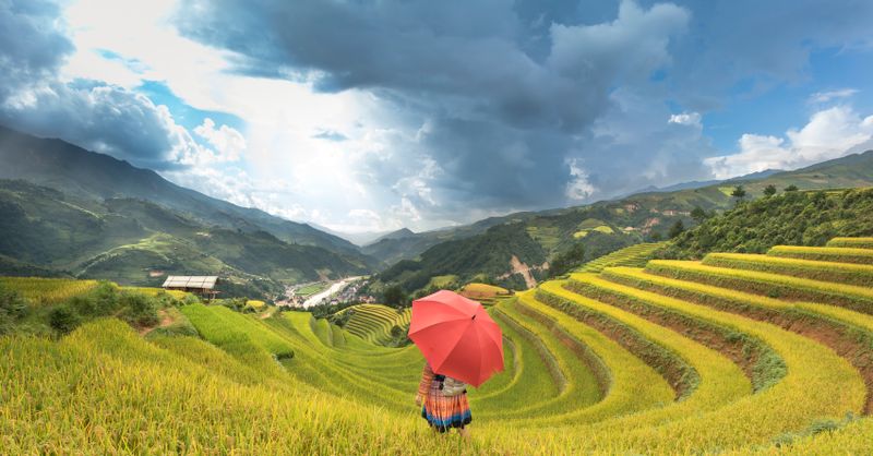 Quand partir au Vietnam : climat, saisons et mousson région par région