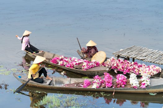 三名妇女在宁静的湖面上，乘着传统小船采摘鲜艳的睡莲