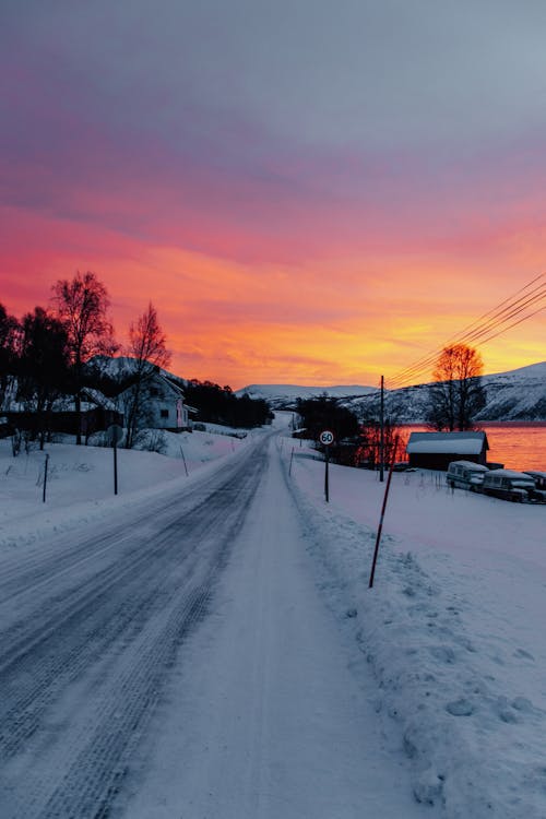 Imagine de stoc gratuită din drum, fotografiere verticală, iarnă