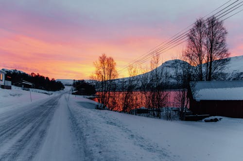 冬季, 路, 農村 的 免費圖庫相片