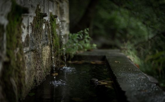 Close-up of a moss-covered stone wall with water streaming into a tranquil outdoor pool.